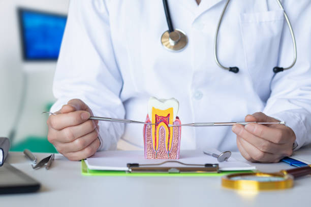 Best Emergency Dentist for Lost Fillings or Crowns in River Rouge, MI